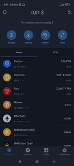 Screenshot_2022-10-14-04-07-27-891_com.wallet.crypto.trustapp.jpg