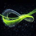 photo_2026-03-18_13-41-50.jpg photo_2026-03-18_13-41-50.jpg