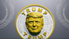 1777631502948.png