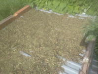 Screenshot_589.png