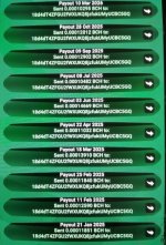 bch-1.jpg
