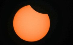 Скриншот 04-08-2026 150919.jpg