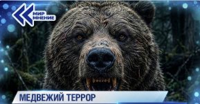 Скриншот 15-09-2026 121606.jpg Скриншот 15-09-2026 121606.jpg