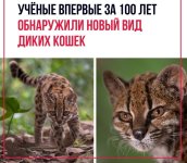 uOKM2D9-n4FfR3gxHL3u7MCGyynZ7kd3TKRv_vsbFXwX0eRCSLiuo6N1X5km7h4WG5SpYWdGqLofRQ3TsTcbSuyM.jpg uOKM2D9-n4FfR3gxHL3u7MCGyynZ7kd3TKRv_vsbFXwX0eRCSLiuo6N1X5km7h4WG5SpYWdGqLofRQ3TsTcbSuyM.jpg