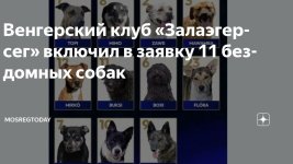 Скриншот 09-10-2026 141627.jpg Скриншот 09-10-2026 141627.jpg