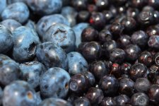 upload-shutterstock_2206499275-pic4_zoom-1500x1500-62212.jpg