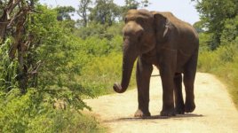 Скриншот 27-10-2026 010031.jpg