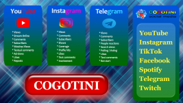 cogotini-socialmedia.com.png cogotini-socialmedia.com.png